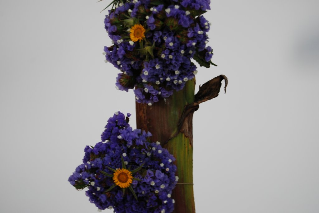 cruces2010rodalquilar17.jpg
