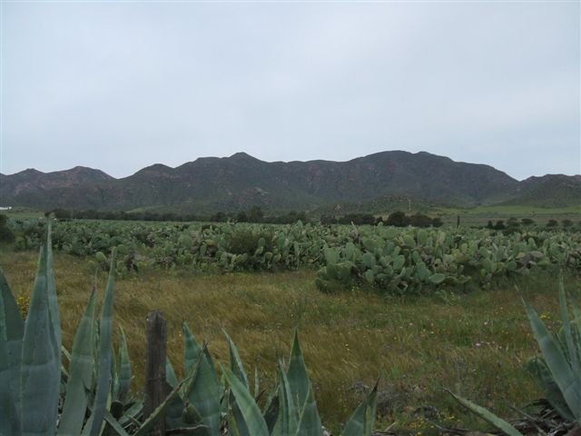 dscf3827.jpg